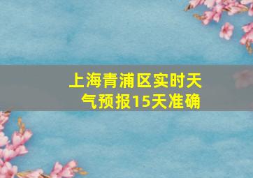 上海青浦区实时天气预报15天准确