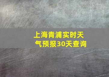 上海青浦实时天气预报30天查询