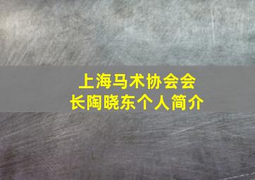 上海马术协会会长陶晓东个人简介