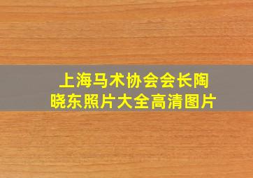 上海马术协会会长陶晓东照片大全高清图片