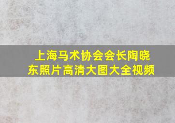 上海马术协会会长陶晓东照片高清大图大全视频