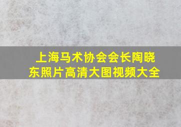 上海马术协会会长陶晓东照片高清大图视频大全