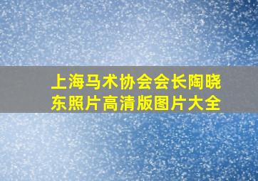 上海马术协会会长陶晓东照片高清版图片大全