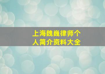 上海魏巍律师个人简介资料大全