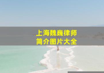 上海魏巍律师简介图片大全