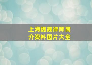 上海魏巍律师简介资料图片大全