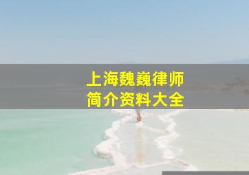 上海魏巍律师简介资料大全