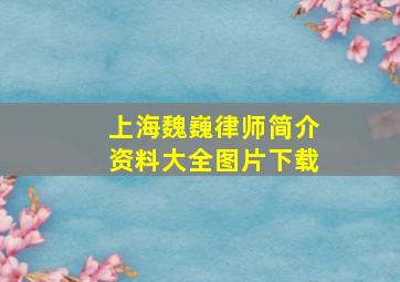 上海魏巍律师简介资料大全图片下载