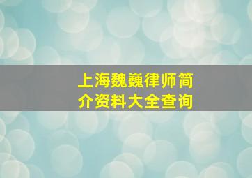 上海魏巍律师简介资料大全查询