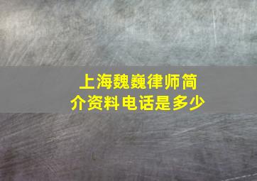 上海魏巍律师简介资料电话是多少