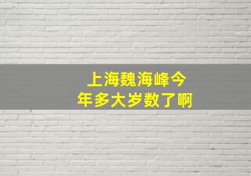 上海魏海峰今年多大岁数了啊