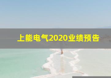 上能电气2020业绩预告