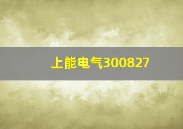 上能电气300827