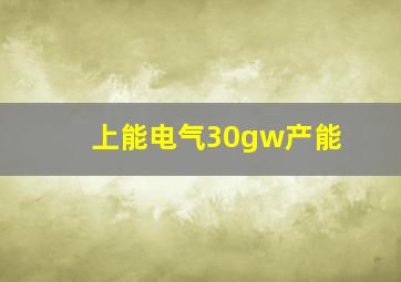 上能电气30gw产能