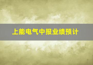 上能电气中报业绩预计