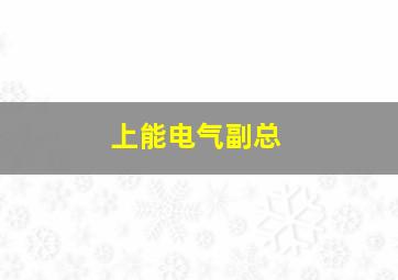 上能电气副总