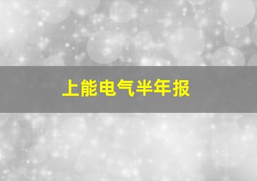 上能电气半年报