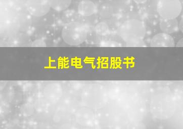 上能电气招股书