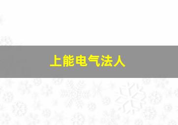 上能电气法人