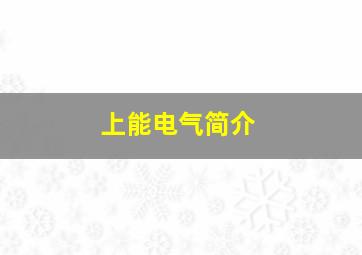 上能电气简介