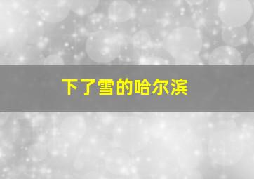 下了雪的哈尔滨