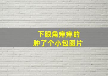 下眼角痒痒的肿了个小包图片