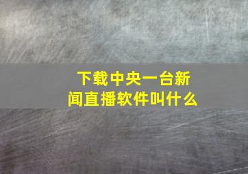 下载中央一台新闻直播软件叫什么