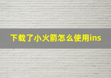 下载了小火箭怎么使用ins