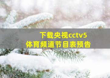 下载央视cctv5体育频道节目表预告