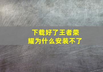 下载好了王者荣耀为什么安装不了