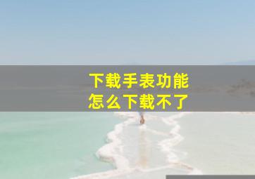 下载手表功能怎么下载不了