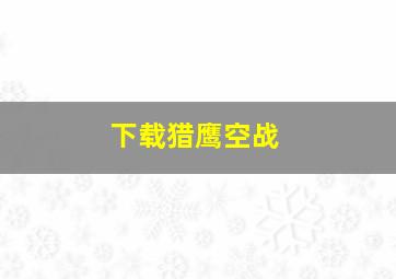 下载猎鹰空战