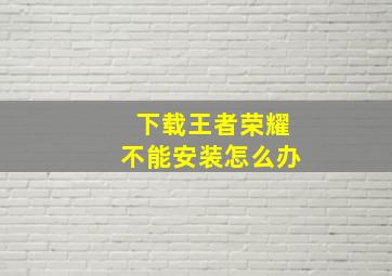 下载王者荣耀不能安装怎么办