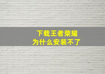 下载王者荣耀为什么安装不了