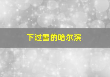 下过雪的哈尔滨