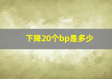 下降20个bp是多少