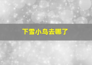 下雪小鸟去哪了