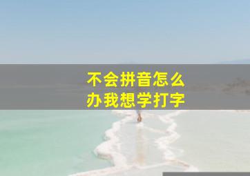 不会拼音怎么办我想学打字