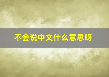 不会说中文什么意思呀