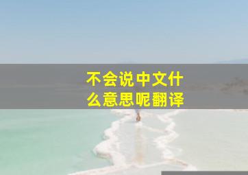 不会说中文什么意思呢翻译