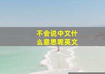 不会说中文什么意思呢英文