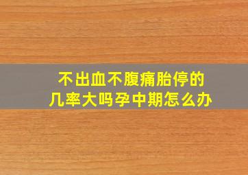 不出血不腹痛胎停的几率大吗孕中期怎么办