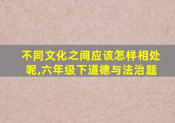 不同文化之间应该怎样相处呢,六年级下道德与法治题