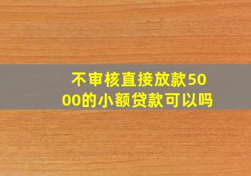 不审核直接放款5000的小额贷款可以吗