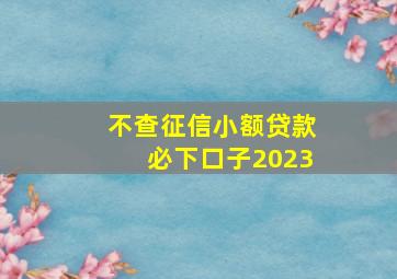 不查征信小额贷款必下口子2023