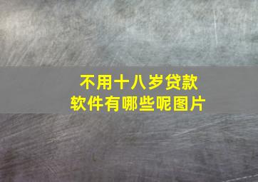 不用十八岁贷款软件有哪些呢图片