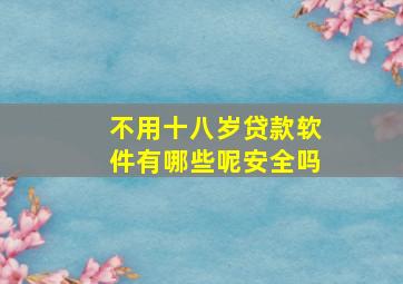 不用十八岁贷款软件有哪些呢安全吗