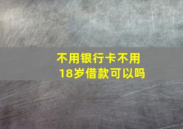 不用银行卡不用18岁借款可以吗