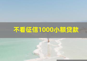 不看征信1000小额贷款