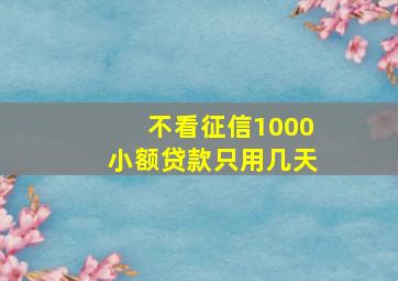 不看征信1000小额贷款只用几天